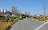 Туры в отель Binhai Hotel Туры в отель Binhai Hotel