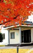 Туры в отель Yandangshan Villas Туры в отель Yandangshan Villas