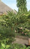 Туры в отель Leopard Beach Resort and Spa Туры в отель Leopard Beach Resort and Spa