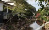 Туры в отель Floral Hotel · Wuyi Green Maple Valley Hotel Туры в отель Floral Hotel · Wuyi Green Maple Valley Hotel