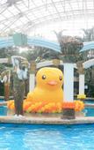 Туры в отель Grand Metropark Longxi Conference Center Beijing Туры в отель Grand Metropark Longxi Conference Center Beijing