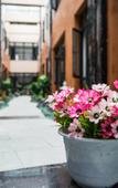 Туры в отель Jiahe Hotel Туры в отель Jiahe Hotel