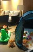 Туры в отель Hilton Huizhou Longmen Resort Туры в отель Hilton Huizhou Longmen Resort