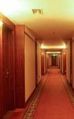 Туры в отель Gladden Hotel (Shilong Town) Туры в отель Gladden Hotel (Shilong Town)