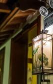 Туры в отель Fengdiao Yushun Hostel Туры в отель Fengdiao Yushun Hostel