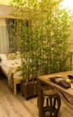 Туры в отель Fengdiao Yushun Hostel Туры в отель Fengdiao Yushun Hostel
