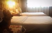 Туры в отель Harbin Cloud Ma Bremei Inn Co Ltd Туры в отель Harbin Cloud Ma Bremei Inn Co Ltd