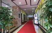 Туры в отель Shankee Hotel (Shanghai Pudong Airport) Туры в отель Shankee Hotel (Shanghai Pudong Airport)