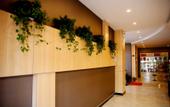 Туры в отель Shankee Hotel (Luoyang Jiudu West Road) Туры в отель Shankee Hotel (Luoyang Jiudu West Road)