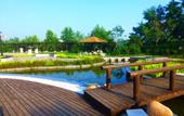 Туры в отель Tongwan Seaview Resort Туры в отель Tongwan Seaview Resort