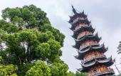 Туры в отель Siji Business Hotel (Guangzhou South Railway Station Huijiang Subway Station) Туры в отель Siji Business Hotel (Guangzhou South Railway Station Huijiang Subway Station)
