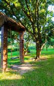 Туры в отель Sanya Vanke Forest Breeze Resort Туры в отель Sanya Vanke Forest Breeze Resort