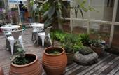 Туры в отель Nova Traveller's Lodge Туры в отель Nova Traveller's Lodge