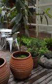 Туры в отель Nova Traveller's Lodge Туры в отель Nova Traveller's Lodge
