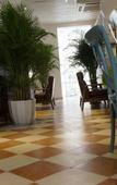 Туры в отель Nova Traveller's Lodge Туры в отель Nova Traveller's Lodge
