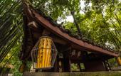 Туры в отель Nova Traveller's Lodge Туры в отель Nova Traveller's Lodge