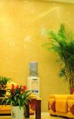 Туры в отель GreenTree Inn (Shanghai Fengxian Xidu) Туры в отель GreenTree Inn (Shanghai Fengxian Xidu)