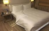 Туры в отель Atour Hotel Wild Goose Pagoda Xian Туры в отель Atour Hotel Wild Goose Pagoda Xian