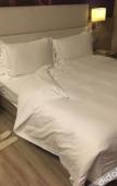 Туры в отель Atour Hotel Wild Goose Pagoda Xian Туры в отель Atour Hotel Wild Goose Pagoda Xian