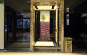 Туры в отель Dijing Wanyue Hotel Туры в отель Dijing Wanyue Hotel
