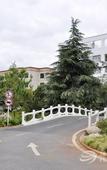 Туры в отель Dianchi Hotel Туры в отель Dianchi Hotel