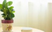 Туры в отель GreenTree Inn (Qidong Binhai Industrial Park Nanhai Road Store) Туры в отель GreenTree Inn (Qidong Binhai Industrial Park Nanhai Road Store)