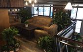 Туры в отель James Joyce Coffetel Hotel (Shijiazhuang LeTai Center Ping'an Avenue Subway Station) Туры в отель James Joyce Coffetel Hotel (Shijiazhuang LeTai Center Ping'an Avenue Subway Station)