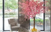 Туры в отель PinYue Hotel Туры в отель PinYue Hotel