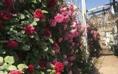 Туры в отель Manhong Homestay Characteristic Homestay Туры в отель Manhong Homestay Characteristic Homestay