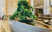 Туры в отель Kaisa Keyu Hotel (Shenzhen Nanshan Qianhai Free Trade Zone) Туры в отель Kaisa Keyu Hotel (Shenzhen Nanshan Qianhai Free Trade Zone)