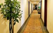 Туры в отель GreenTree Alliance Hotel (Beijing Daxing District Yizhuang Jiugong Subway Station) Туры в отель GreenTree Alliance Hotel (Beijing Daxing District Yizhuang Jiugong Subway Station)