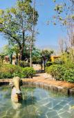 Туры в отель Dali Geothermal Paradise Hotel Туры в отель Dali Geothermal Paradise Hotel