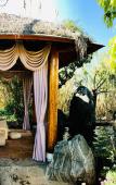 Туры в отель Dali Geothermal Paradise Hotel Туры в отель Dali Geothermal Paradise Hotel