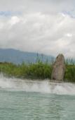 Туры в отель Dali Geothermal Paradise Hotel Туры в отель Dali Geothermal Paradise Hotel