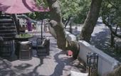 Туры в отель GUAN TANG HOTEL Туры в отель GUAN TANG HOTEL