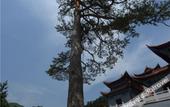 Туры в отель Junting International Hotel Туры в отель Junting International Hotel
