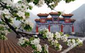 Туры в отель Junting International Hotel Туры в отель Junting International Hotel