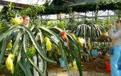 Туры в отель Junting International Hotel Туры в отель Junting International Hotel