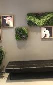 Туры в отель Home Inn (Hangzhou Downtown Wulin Square Branch) Туры в отель Home Inn (Hangzhou Downtown Wulin Square Branch)
