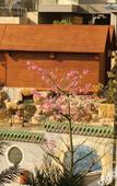 Туры в отель Sanying Spa Resort Hotel Туры в отель Sanying Spa Resort Hotel
