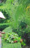 Туры в отель Shunyi Oriental baipenhu Hot Spring Hotel (Huizhou Huidong Baipenzhu store) Туры в отель Shunyi Oriental baipenhu Hot Spring Hotel (Huizhou Huidong Baipenzhu store)