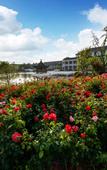 Туры в отель Huai'an Bailu Lake Hotel SCHOLARS BOUTIQUE Туры в отель Huai'an Bailu Lake Hotel SCHOLARS BOUTIQUE