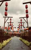 Туры в отель NATIVE HOTEL CHANGBAISHAN Туры в отель NATIVE HOTEL CHANGBAISHAN