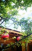 Туры в отель NATIVE HOTEL CHANGBAISHAN Туры в отель NATIVE HOTEL CHANGBAISHAN