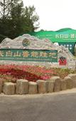 Туры в отель NATIVE HOTEL CHANGBAISHAN Туры в отель NATIVE HOTEL CHANGBAISHAN