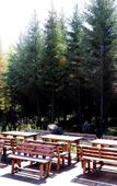 Туры в отель NATIVE HOTEL CHANGBAISHAN Туры в отель NATIVE HOTEL CHANGBAISHAN