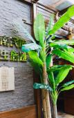 Туры в отель 26 Life Hotel (Kunming Old Street) Туры в отель 26 Life Hotel (Kunming Old Street)