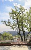 Туры в отель YiPiao Courtyard Inn, Mentougou, Beijing Туры в отель YiPiao Courtyard Inn, Mentougou, Beijing