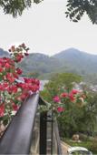 Туры в отель YiPiao Courtyard Inn, Mentougou, Beijing Туры в отель YiPiao Courtyard Inn, Mentougou, Beijing
