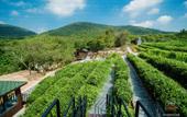 Туры в отель Tangshan Hot Springs RV Camp Туры в отель Tangshan Hot Springs RV Camp